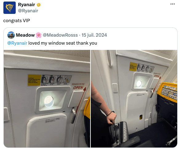 Reponse critique de Ryanair à un client sur leurs réseaux sociaux
