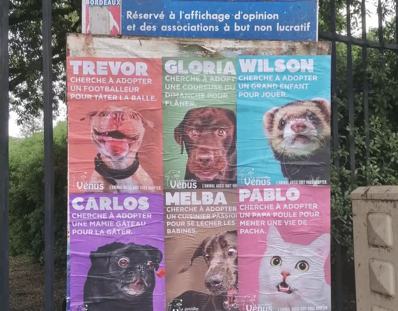 Quand les étudiants de l’ESP Bordeaux signent une campagne de pub pour l’Association Vénus