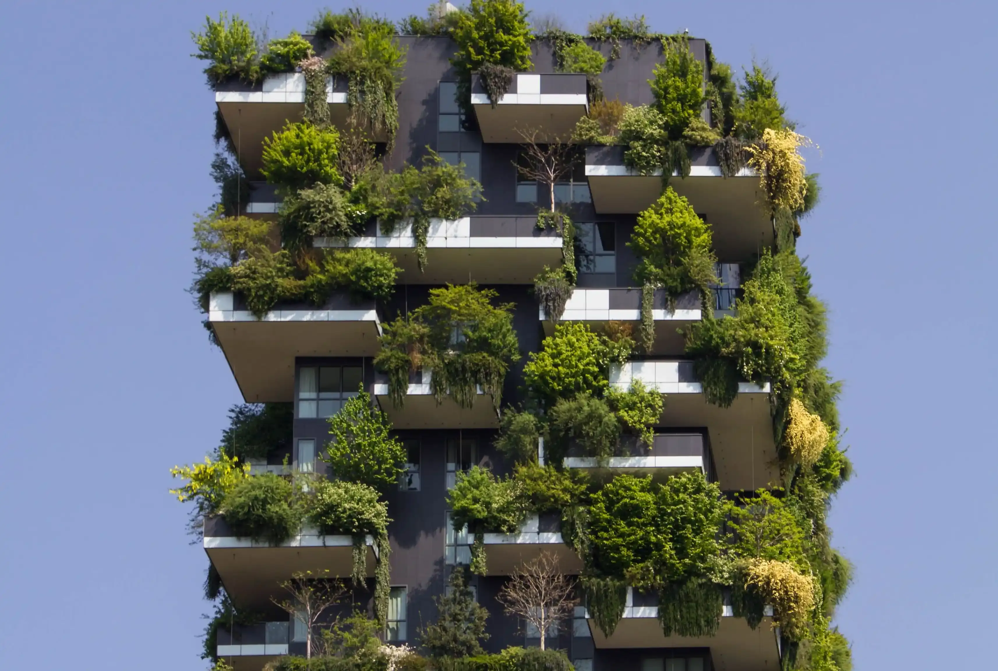 Smart City imaginée par nos étudiants