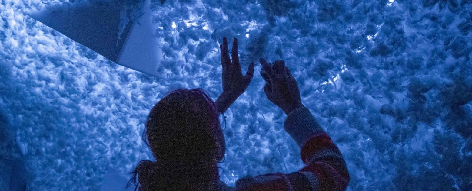 Vidéo Mapping réalisé par nos étudiants