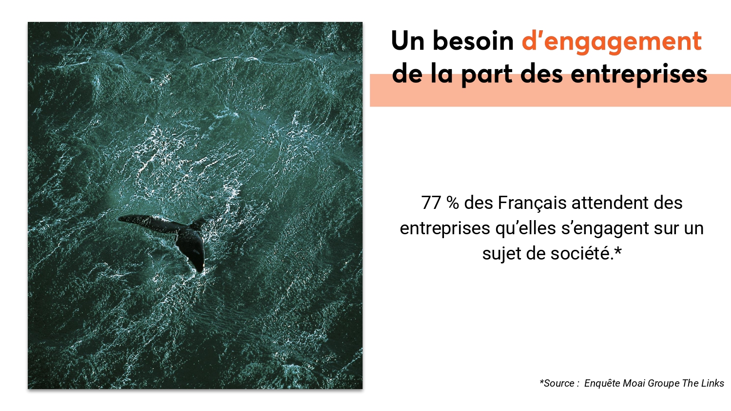 compétition-mastères1-agence-gagnante-présentation6