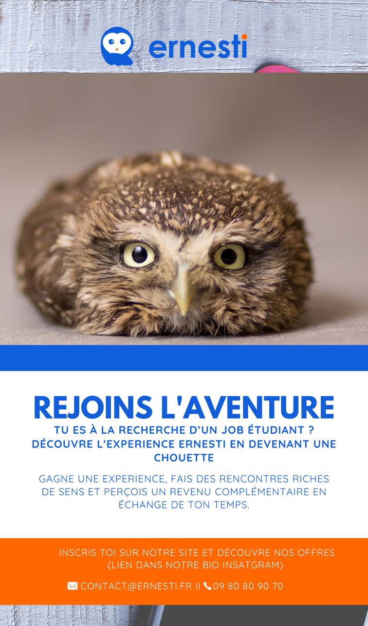 competition-junior-startup-enersti-5