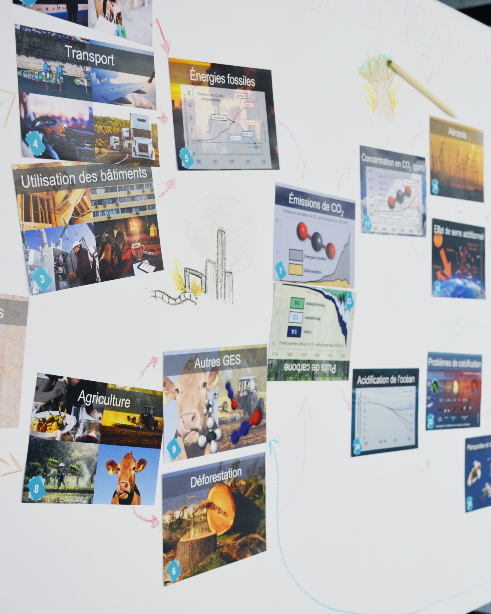 Fresque du Climat 2022