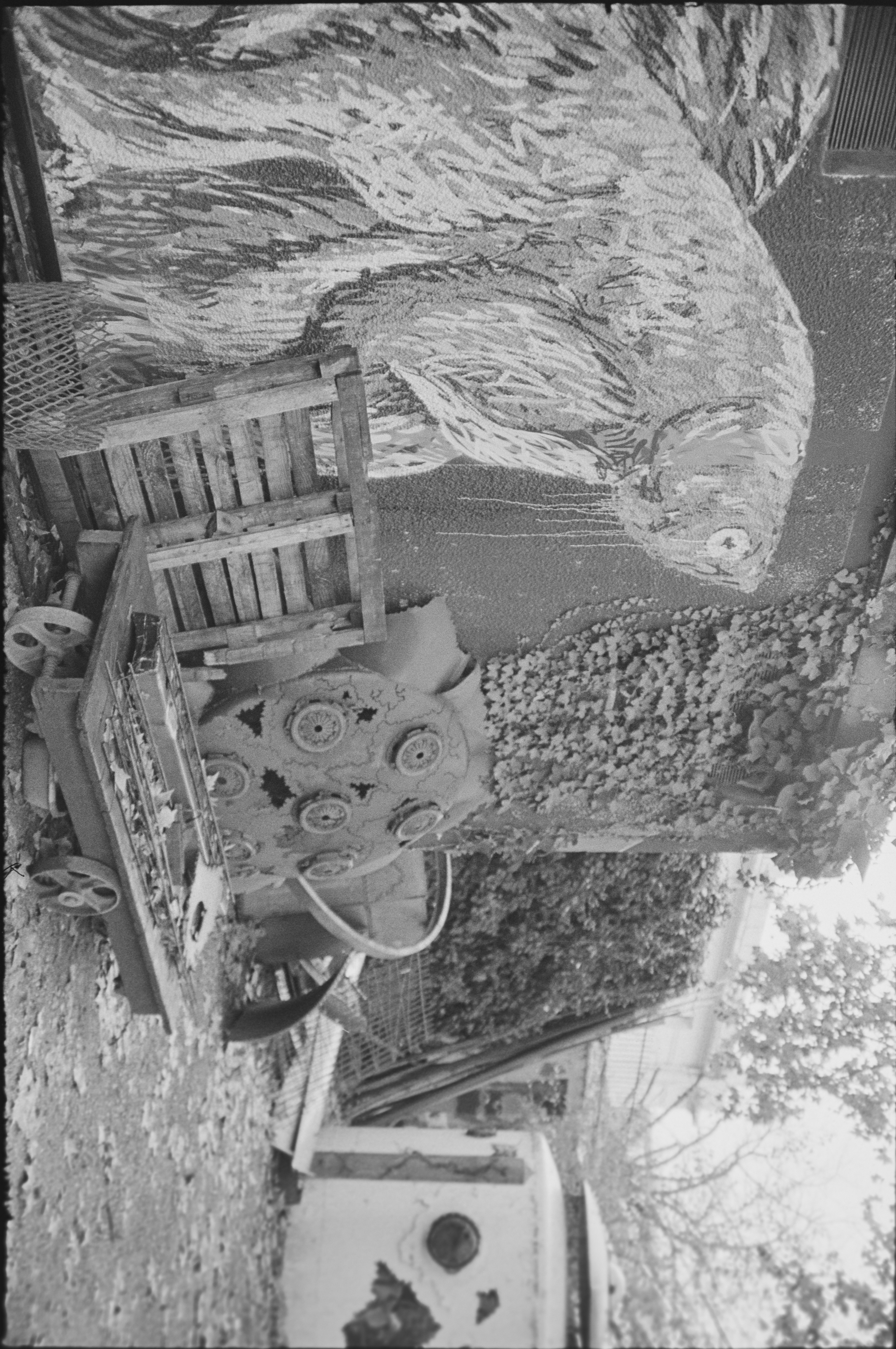 B2 Bordeaux Projet Argentique - Les Vivres de l'Art