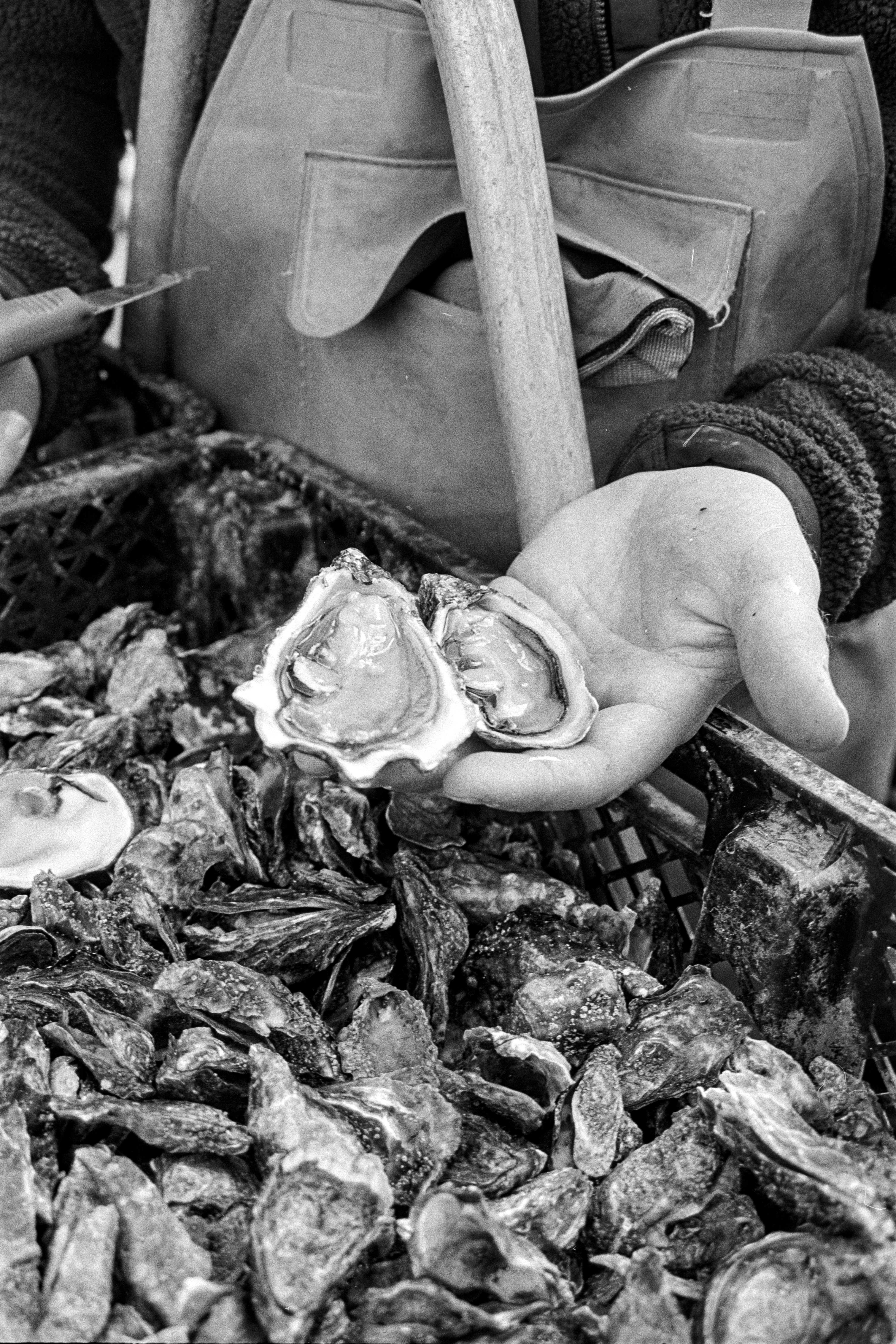 B2 Bordeaux Projet Argentique - Ostréiculture