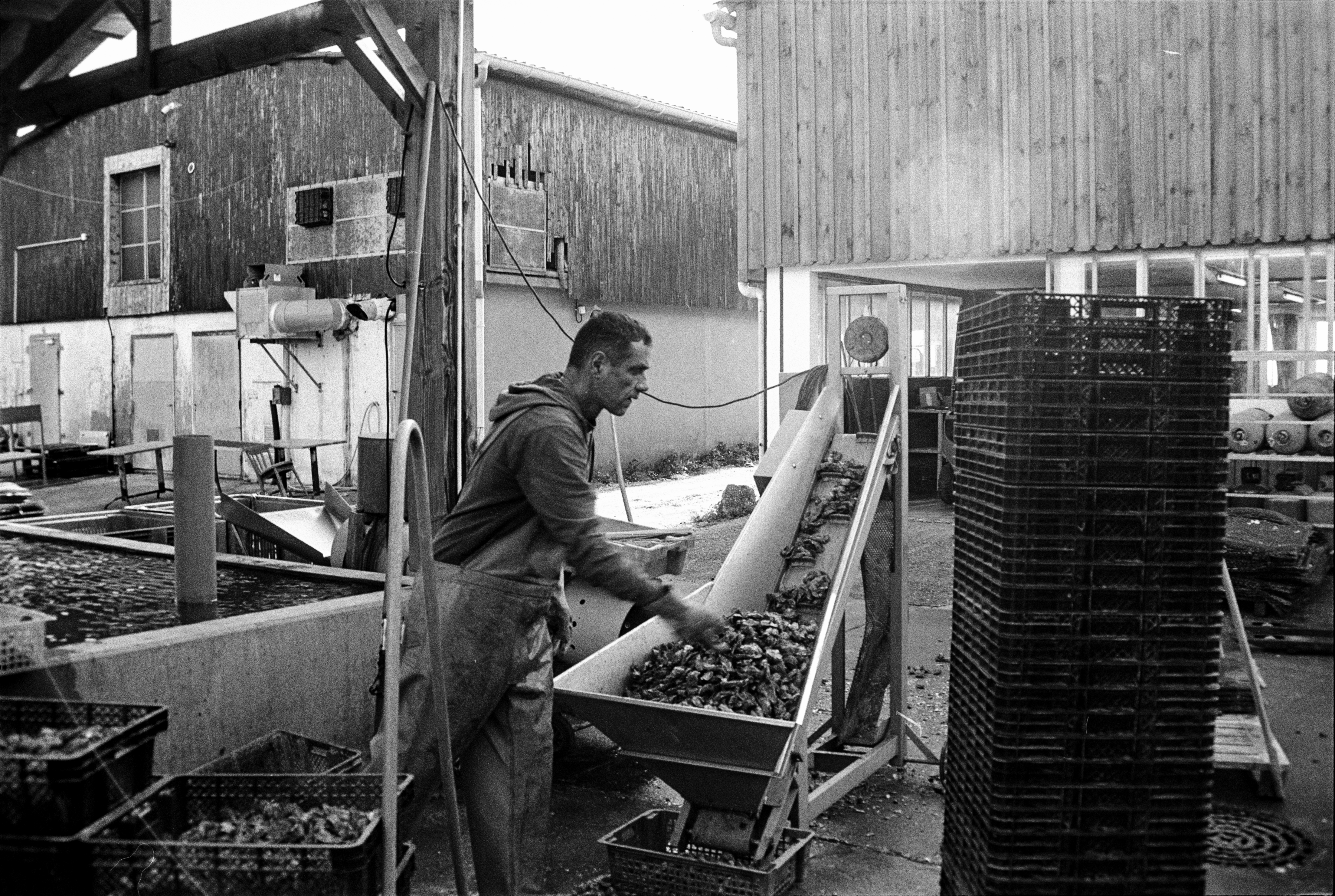 B2 Bordeaux Projet Argentique - Ostréiculture