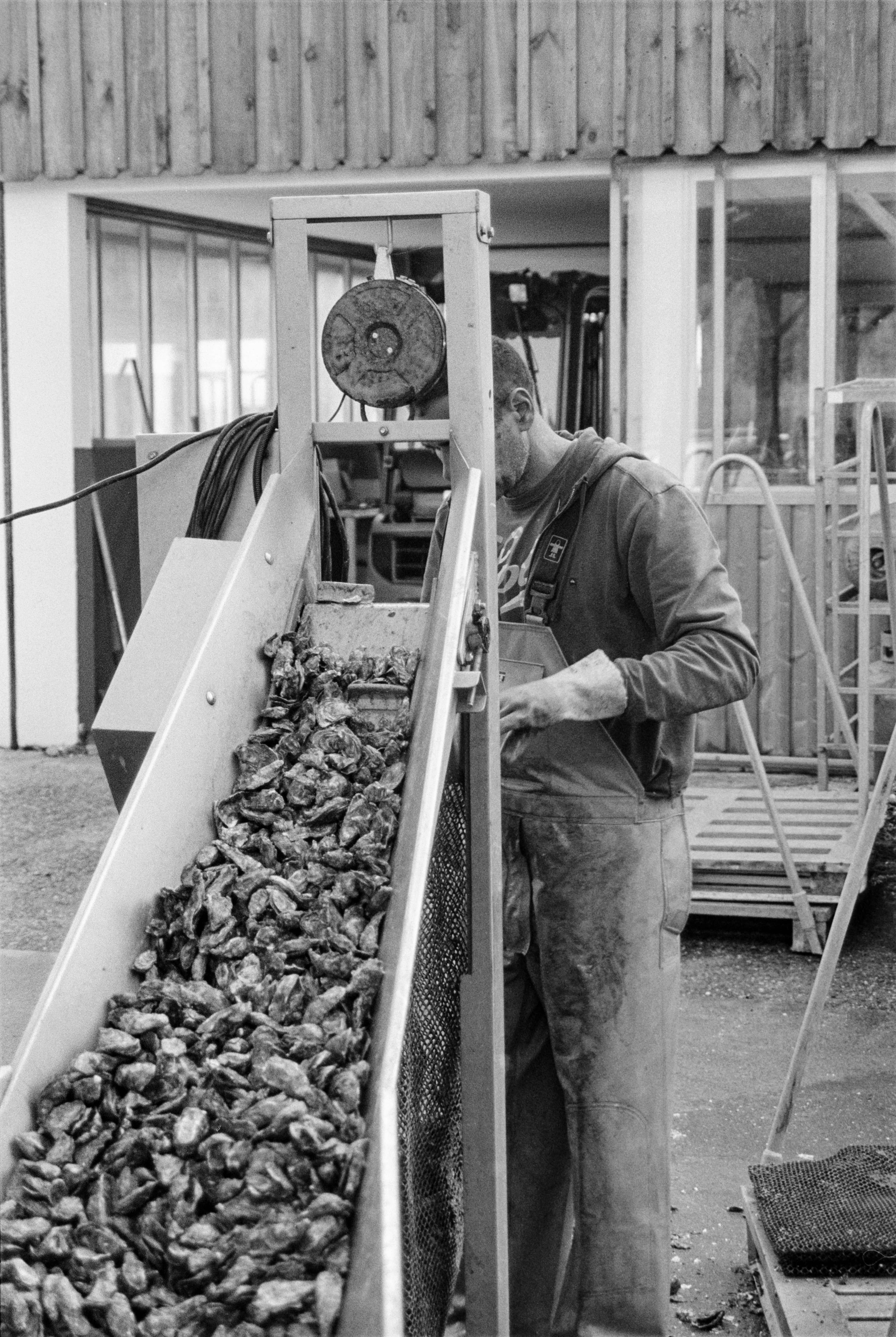 B2 Bordeaux Projet Argentique - Ostréiculture