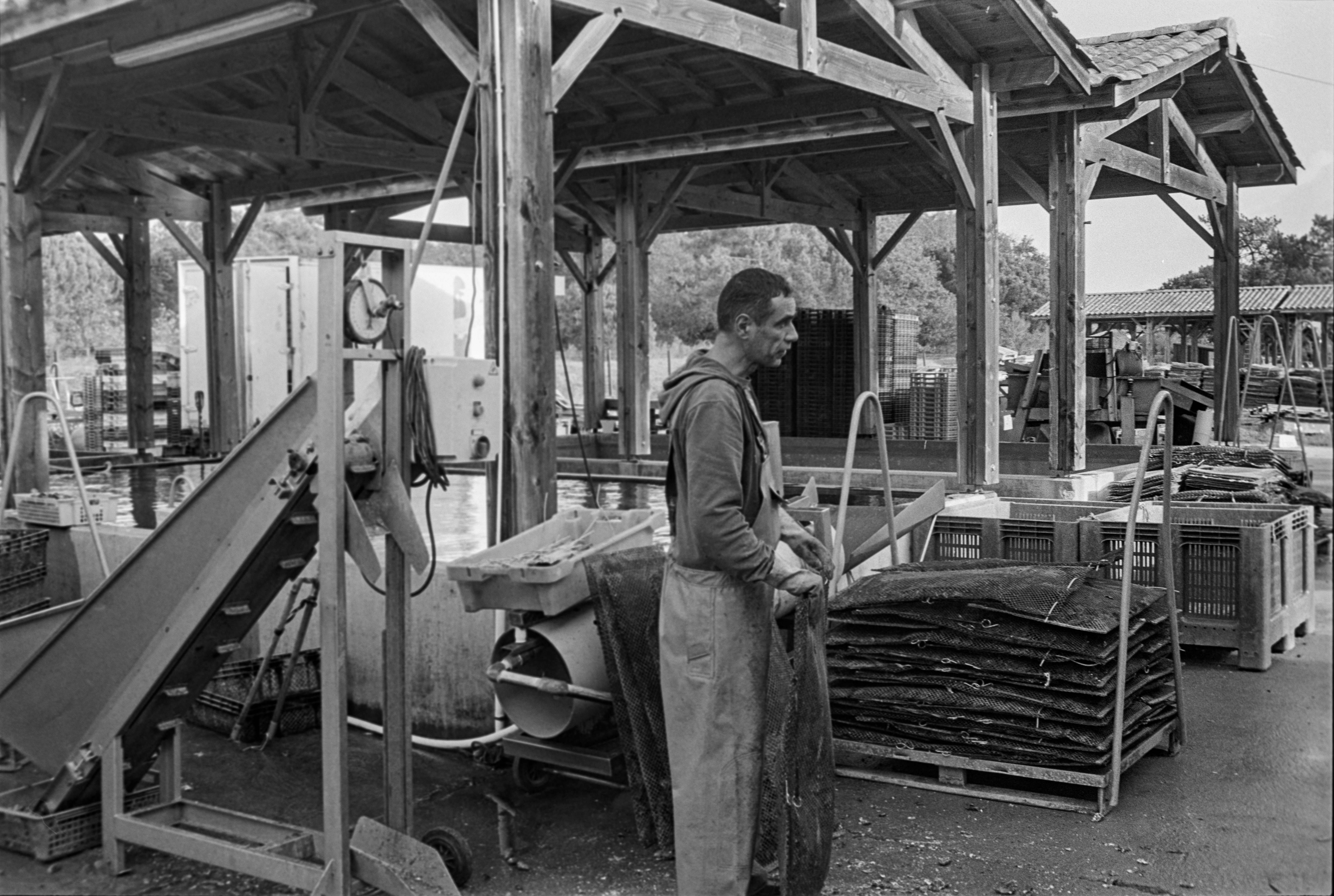 B2 Bordeaux Projet Argentique - Ostréiculture