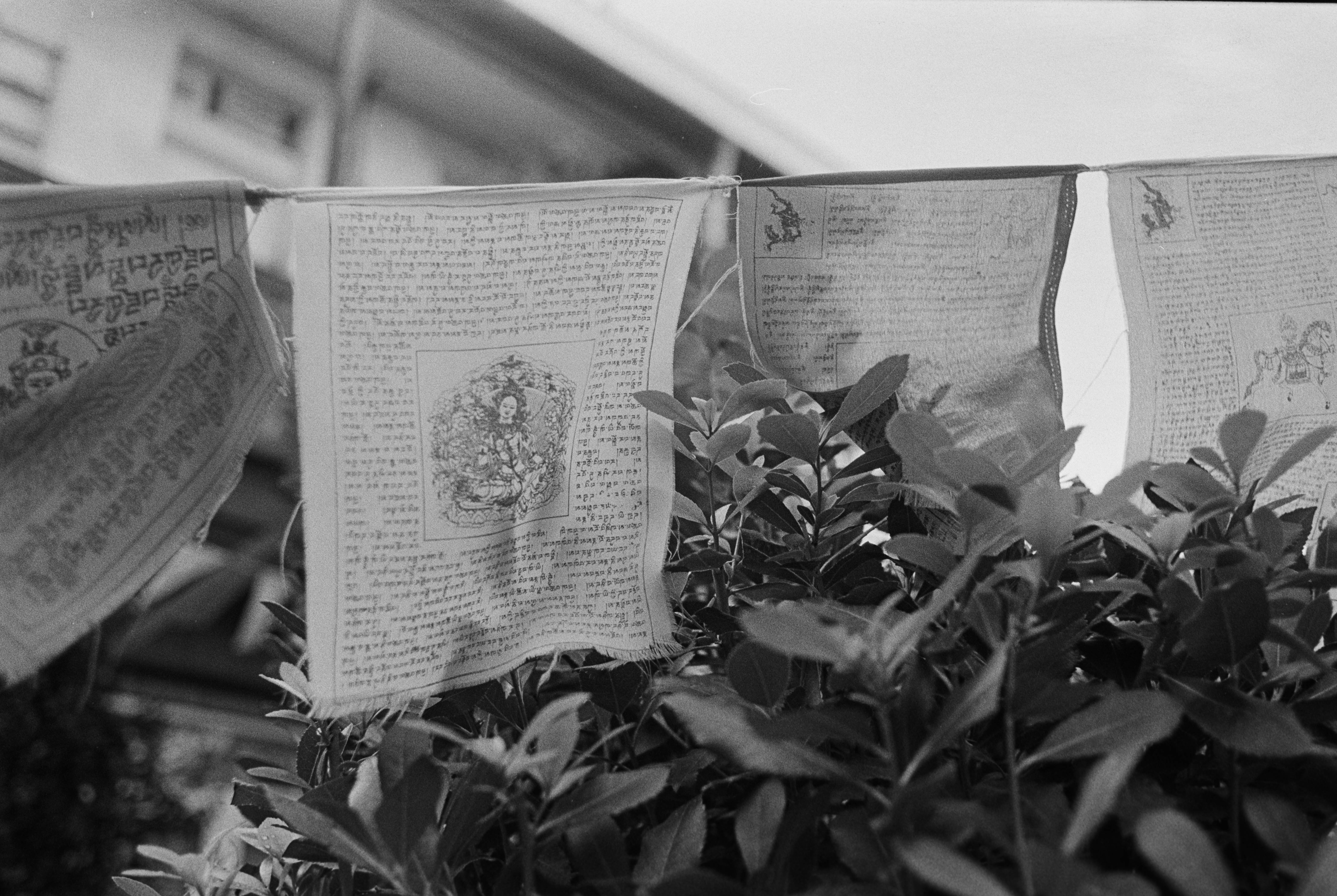 B2 Bordeaux Projet Argentique - Bouddhisme