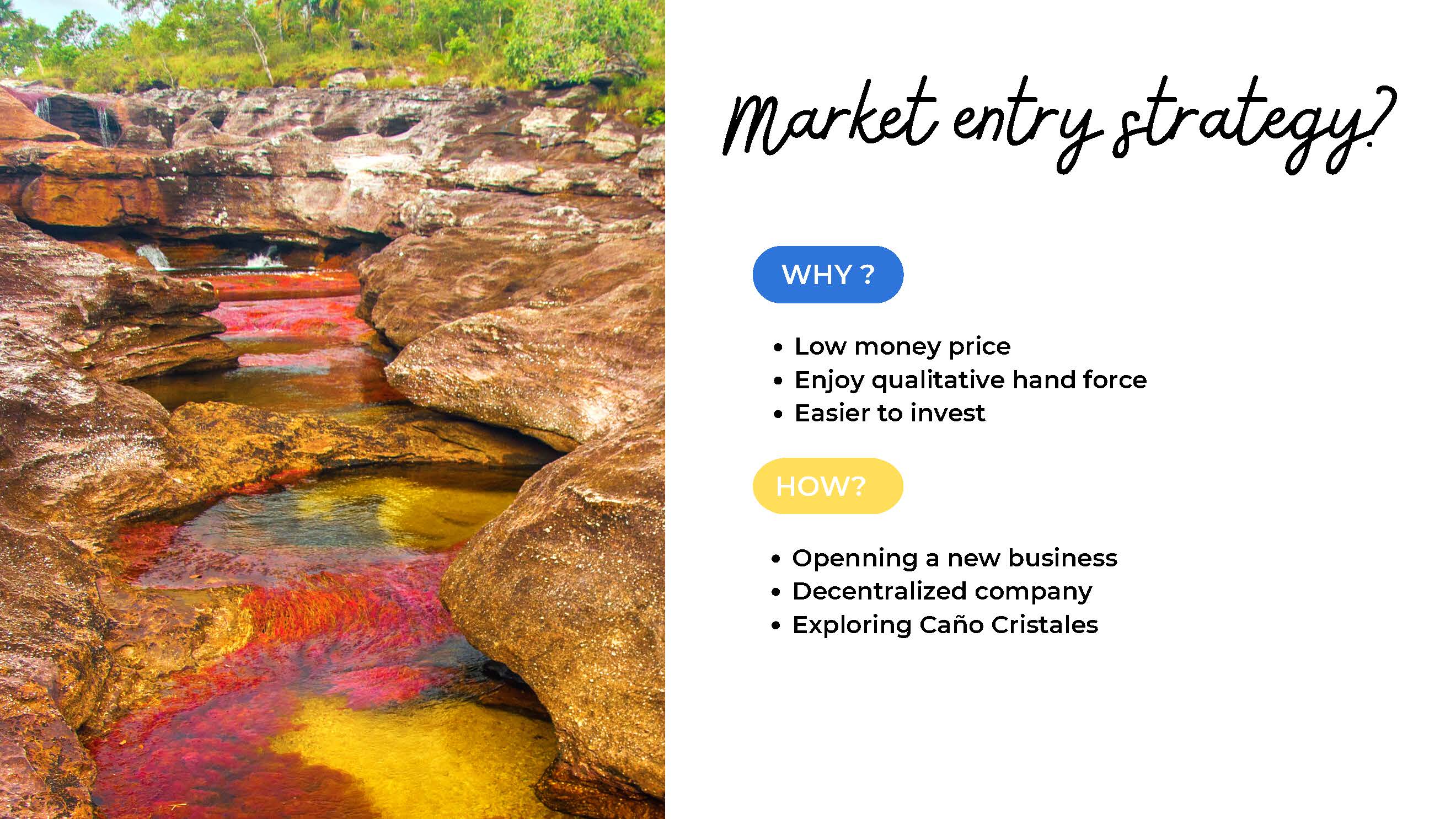 Orange group - Colombia Séminaire Latin America